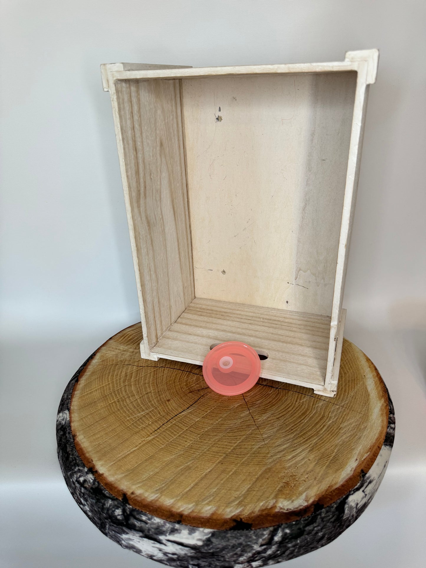 Couvercle en acrylique pour verre en vitre