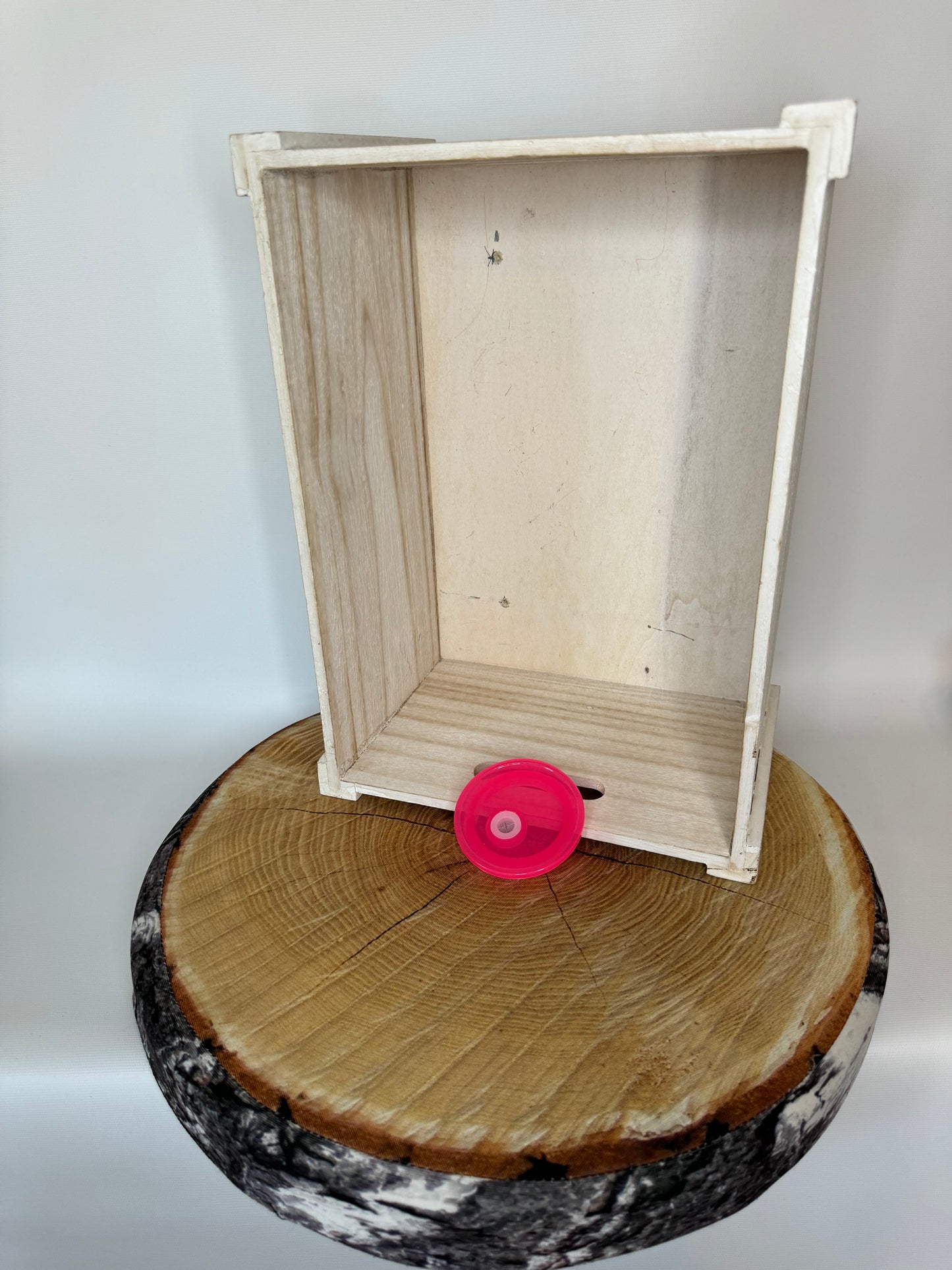 Couvercle en acrylique pour verre en vitre